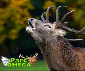 Omega Park