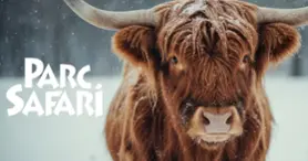 Parc Safari Parc Safari