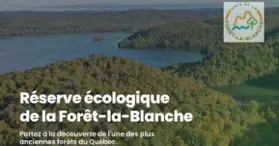 Forêt-la-Blanche Ecological Reserve Forêt-la-Blanche Ecological Reserve